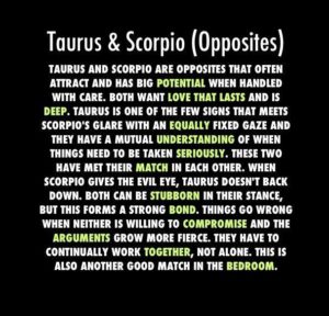 scorpio taurus