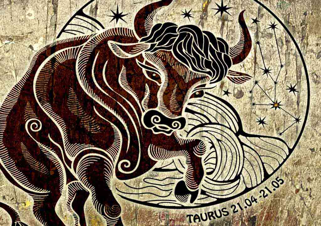 Taurus. Toaruos. HAYASA Taurus. Taurus man.