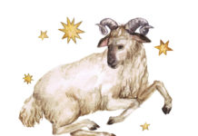 Aries Monthly Horoscope: November, 2022