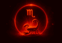 Scorpio Daily Horoscope: Monday, November 24