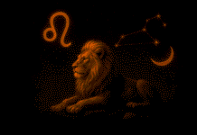 Leo Daily Horoscope: Thursday, December 11